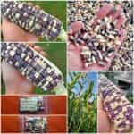 Καλαμπόκι ''Cherokee White Eagle'' Γίγας