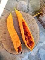 Πικροπέπονο ''Satsuma Onaga'' - Image 6