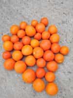 Ντομάτα ''Zlatava'' - Image 6