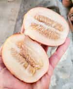 Πεπόνι ''Rich Sweetness'' - Image 3