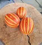 Πεπόνι ''Rich Sweetness'' - Image 4