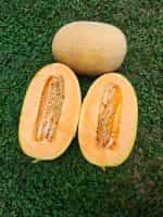 Πεπόνι ''Ananas'' Παραδοσιακό - Image 4