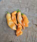 Πιπεριά ''Sugar Rush Peach'' Καυτερή - Image 3