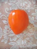 Ντομάτα ''Orange Oxheart'' Καρδιά του Ταύρου Πορτοκαλί - Image 4