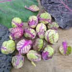 Λαχανάκι Βρυξελλών ''Red Bull'' - Image 2