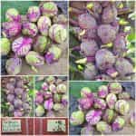 Λαχανάκι Βρυξελλών ''Red Bull''