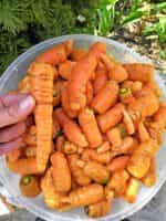 Καρότο Μεσαίο Παραδοσιακό - Image 4