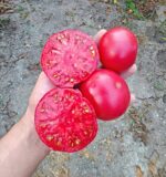 Ντομάτα Δέντρο ''Tree Tomato'' - Image 2