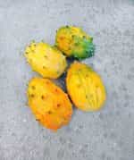 Πεπόνι ''Kiwano Melon'' - Image 4