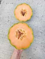 Πεπόνι ''Mantovano'' - Image 5