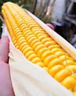 Καλαμπόκι ''Paraguayan Chipa'' - Image 2