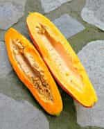 Κολοκύθα ''Gete Okosomin'' - Image 3