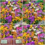 Στατική Μιξ