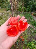 Φυσαλίδα Πορτοκαλί - Image 4