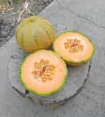 Πεπόνι Πορτοκαλί Κανταλούπε - Image 3