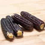 Καλαμπόκι ''Black Aztec'' Γλυκό - Image 3