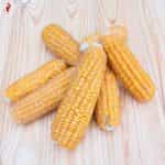 Καλαμπόκι ''Candy Mountain'' Γλυκό - Image 2