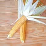 Καλαμπόκι ''Golden Midget'' Γλυκό - Image 2