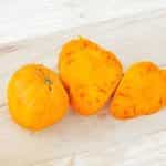 Ντομάτα ''Verna Orange'' - Image 3