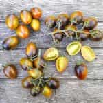 Ντομάτα ''Brad's Atomic Grape'' - Image 2