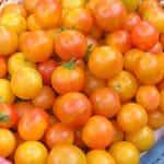 Ντοματίνι ''Jan's Cherry'' - Image 2