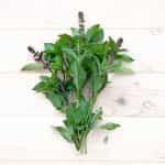 Βασιλικός ''Licorice'' - Image 3