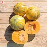 Πεπόνι ''Red Fleshed Pineapple'' - Image 2