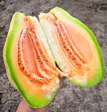 Πεπόνι ''Banana Melon'' - Image 2